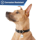 GoTags Stainless Steel Pet ID Tags, Personalized Dog Tags and Cat Tags - Image 4