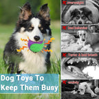 3.5in Squeaky Dog Balls Toys for Training, Dog Toys to Keep Them Busy, High - Image 3