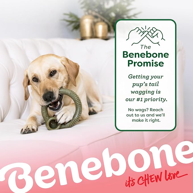 Benebone Peppermint Ring – Limited Edition Holiday Flavor, Durable Chew Toy - Image 7
