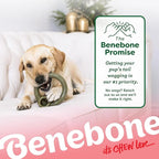 Benebone Peppermint Ring – Limited Edition Holiday Flavor, Durable Chew Toy - Image 7