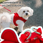 PetiFine Step in Small Dog Harness and Leash Set, Breathable All Weather Air - Image 3