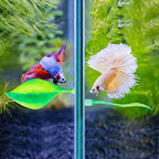 WILLBOND 2 Pcs Green Silicone Betta Fish Bed Leaf Hammock Betta Fish Tank - Image 5