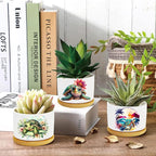 Turtle Succulent Pots 3 Pack, 3 Inch Succulent Planters - Image 2