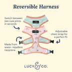 Lucy & Co. in The Clouds, Cute Reversible Dog Harness Walking Halter - Image 2