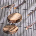 Deloky 8 PCS Natural Wood Bird Perch Stand-Wooden Parrot Perch Stand-Perch - Image 6