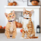azuza 4 Pack Halloween Kitten Collars Breakaway - Image 3
