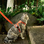 Cat Harness and Leash Escape Proof Extra Large Kitten Harness Maine Coon Cat - Image 8