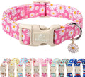 Summer Daisy Dog Collar, Cute Floral Adjustable Pink Dog Collars by Babolepet