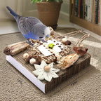 Kyouki Bird Toys, Parakeet Toys, Parrot Toy, Conure Hanging Chewable Cardboard - Image 5