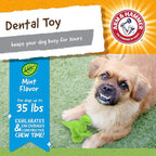 Arm & Hammer for Pets Nubbies Dental Toys T-Rex Dental Chew Toy for Dogs Best - Image 5