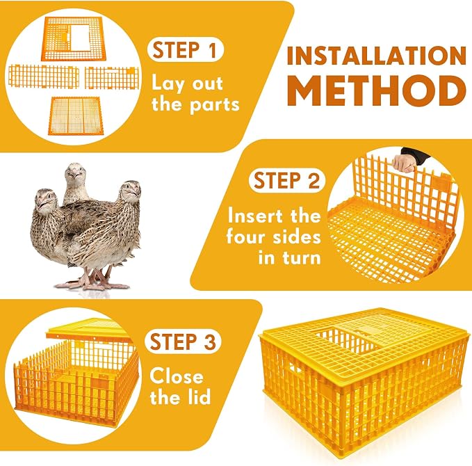 Sintuff Poultry Carrier Crate Plastic Chicken Transport Cage Bird Carriers - Image 3
