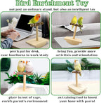 Natural Wood Bird Perch Stand Training, Intelligence Puzzle Enrichment Toys - Image 5