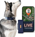 PAJ GPS Dog Tracker - 4G Real-Time Tracking & Runaway Alerts - Waterproof by PAJGPS