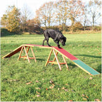 Trixie Dog Agility Walk and Ramps – Dog Obstacle Training Equipment Training - Image 2