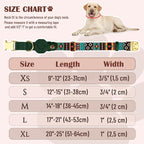 AirTag Dog Collar for Small Medium Large Breed - Image 4