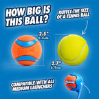 Chuckit! Ultra Ball Dog Toy - Image 2