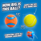 Chuckit! Ultra Ball Dog Toy - Image 4