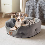 Asvin Medium Dog Bed for Medium Dogs, Cat Beds for Indoor Cats, Pet Bed for - Image 2