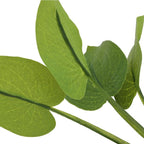 Silk Aquarium Plants for Betta Fish Tank - Image 5