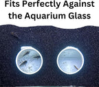 Aquarium Underground Tunnel Cave Natural Curve Two Hole | Viewing Fish & Shrimp - Image 5