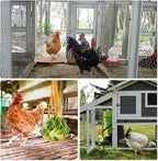 3PCS Chicken Toys for Coop Accessories, Chicken Swing, Vegetable Hanging Feeder - Image 4
