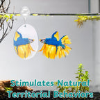 Betta Mirror Enrichment Fish Toys Stimulation, Betta Fish Tank Accessories - Image 6
