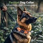 2026 Upgrade Waterproof AirTag Dog Collar, Military Tactical Dog Collar - Image 2