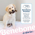 Benebone Puppy Maplestick Dog Chew Toy, Made in USA, Real Maple Wood Flavor - Image 6