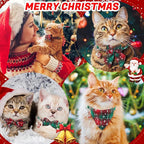 6 Pack Christmas Cat Collar - Image 7