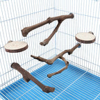 Mogoko 5PCS Bird Perch Natural Wood Grape Stick Stand, 3 Grape Stick Paw - Image 7