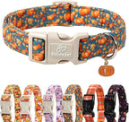 Fall Dog Collar Cute Autumn Pumpkin Puppy Collar by Babolepet