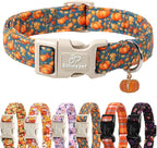 Fall Dog Collar Cute Autumn Pumpkin Puppy Collar by Babolepet