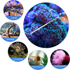 Boao 2 Sets Long Pipette for Fish Tank Coral Food Feeder Long Syringe Aquarium - Image 6
