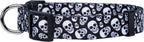 Native Pup Skull Dog Collar for Halloween - Image 2