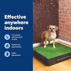 PetSafe Pet Loo Portable Dog Potty - Image 6