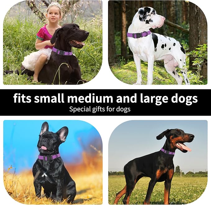 lynxking Dog Collar Soft Padded Breathable Cotton Solid Color Strong Adjustable - Image 4