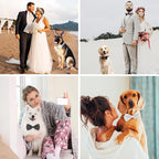 Dog Bow Tie for Large Dogs, KOOLMOX Adjustable Formal Dog Bowtie Collars for - Image 3