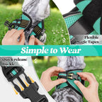 rabbitgoo Cat Harness and Leash Set - Image 3
