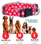 Native Pup Christmas Dog Collar- Winter Holiday Collars - Image 3