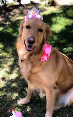 PET SHOW Pink Crown Dog Birthday Party Hat - Image 3
