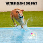 Dog Toy Ball with Handle, Toss and Fetch Play, Interactive Ball - Image 7