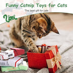 Nocciola 3 Pack Catnip Toys for Cats, Funny Cat Toys Filled - Image 7