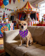 PET SHOW 50 Pack Mardi Gras Dog Bandanas Bulk - Image 7
