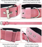 Heavy Duty Tactical Dog Collar - Image 3