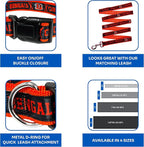 Cincinnati Bengals Satin Collar - Image 6