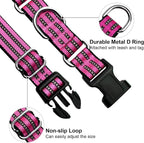 Martingale Dog Collar, Adjustable Nylon Reflective Collar - Image 3