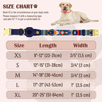 AirTag Dog Collar for Small Medium Large Breed - Image 4