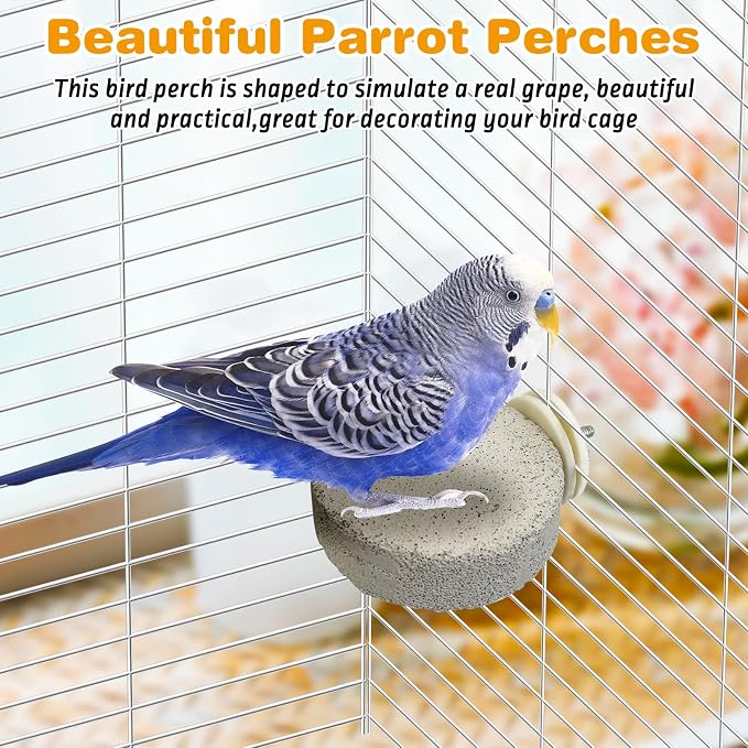 PINVNBY 6 PCS Bird Perch Parrot Beak Grinding Stone Calcium Mineral Parrot - Image 7