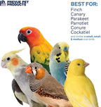 Prevue Pet Products Sound & Movement Mr. Mustache Bird Toy 62614 - Image 4