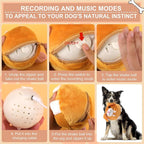 BABORUI Interactive Dog Toys Puppy, Jumping Squeaky Dog Toys - Image 6